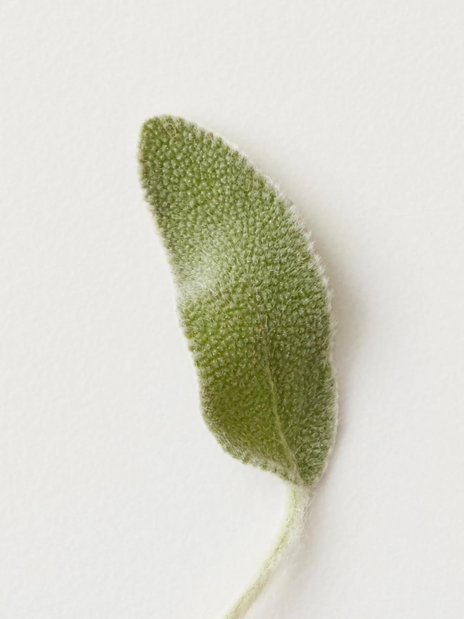 Bruma acondicionadora AG Care