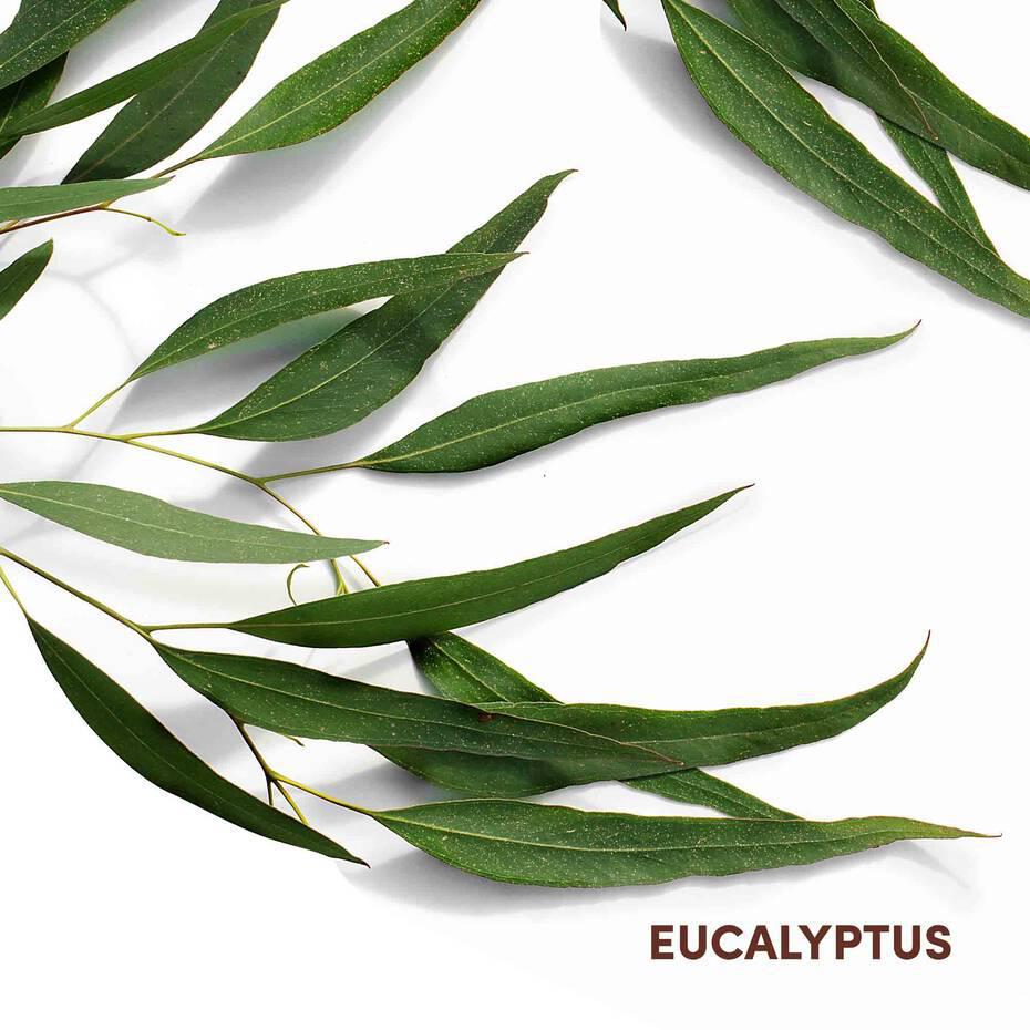 Loción calmante para el cuero cabelludo Mizani