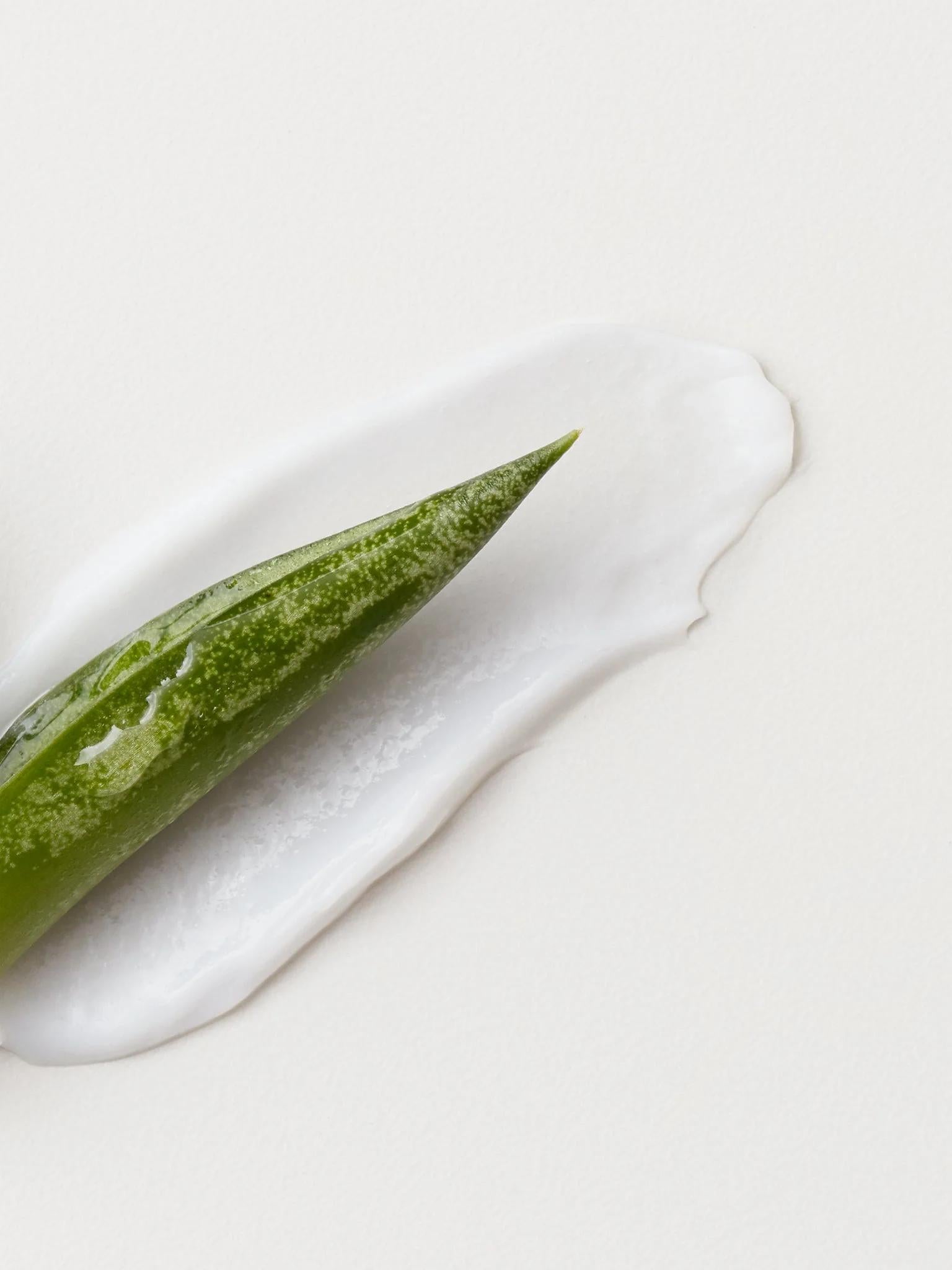 AG Care Fast Food Leave-On Conditioner